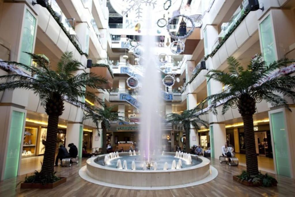 Entire Hosted Apartment